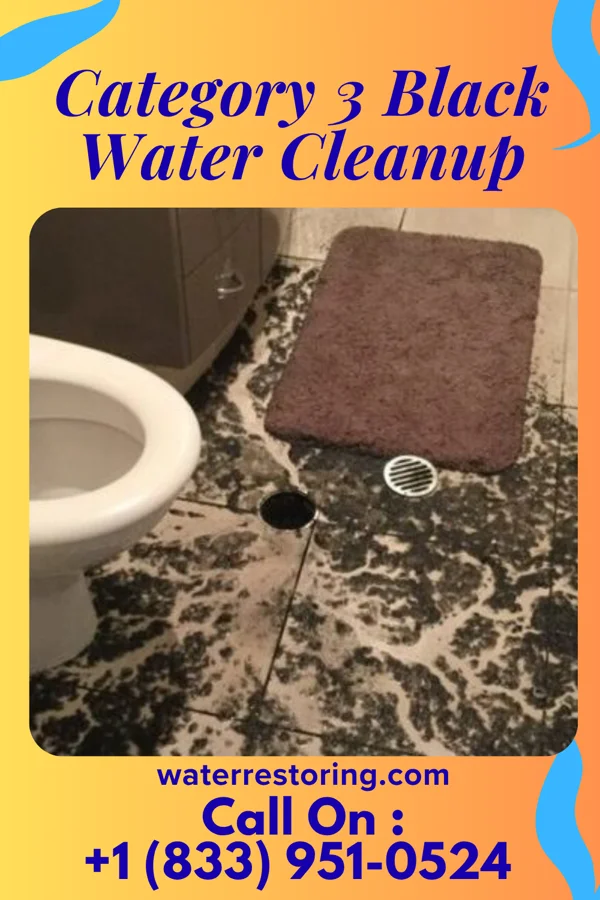 Category 3 Black Water Cleanup in Moundville, AL