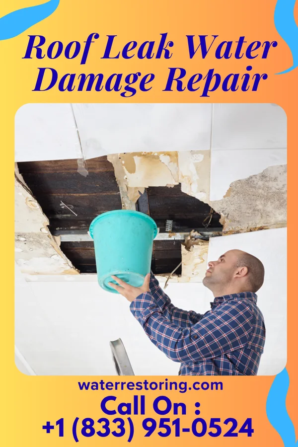 Roof Leak Water Damage Repair in Moundville, AL